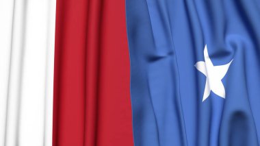 MALTA ve SOMALIA bayrakları gerçekçi kumaş dokusuyla