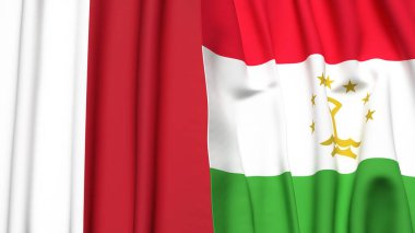 MALTA ve TAJIKISTAN bayrakları gerçekçi kumaş dokusuyla