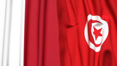 MALTA ve TUNISIA bayrakları gerçekçi kumaş dokusuyla