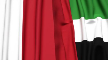 MALTA ve BAE bayrakları gerçekçi kumaş dokusuyla