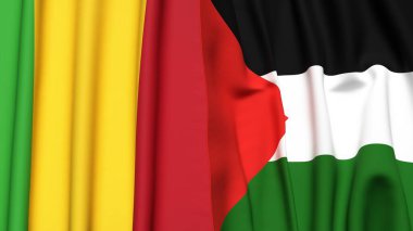 MALI ve Filistin 4k bayrakları
