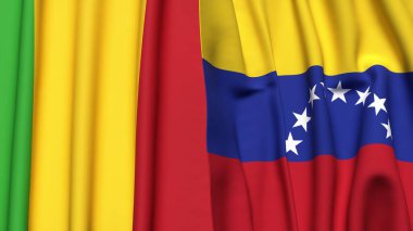 MALI ve Venezuela Bayrakları