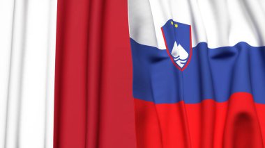 MALTA ve SLOVENIA Bayrakları