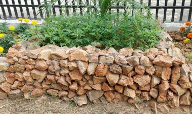 Yaratıcı şekiller, katmanlı düzenlemeler ve renkli çiçekler ve yeşillik karışımı içeren, bahçe meraklıları için tasarlanmış büyüleyici ve benzersiz bir bitki yatağı tasarımı.