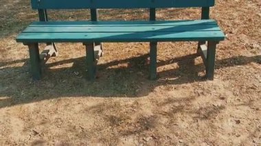 boş bank ve ağaç sıraları güzel video klibi