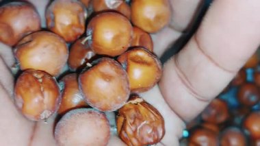 Jujube (ayrıca kırmızı tarih olarak da bilinir), bilimsel adı Ziziphus jujuba olan, çeşitli bölgelerde yaygın olarak rastlanan küçük, tatlı bir meyvedir.