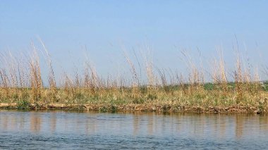 Sawan Nehri 'nin güzel manzarası. Hızlı rüzgar nedeniyle nehir suyunda güzel dalgalar.