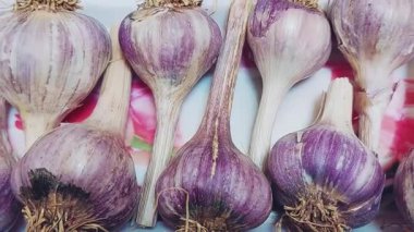 Punjab çiftliklerinden taze organik sarımsak