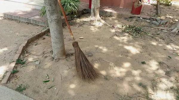 Bir süpürge toprak kaplı bir alanda bir ağaç gövdesine yaslanır, dağınık kuru yapraklar ve dallar ile çevrili, sessiz, kırsal bir sahne oluşturur