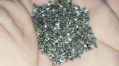 Orijinal organik chia tohumlarının yakın çekim makrosu, onların pürüzsüz yüzeyleri ve siyah, beyaz ve gri renklerin karışımı ile küçük oval şekillerini ortaya çıkararak, doğal dokularını ve saflıklarını ön plana çıkarır.