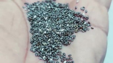 Orijinal organik chia tohumlarının yakın çekim makrosu, onların pürüzsüz yüzeyleri ve siyah, beyaz ve gri renklerin karışımı ile küçük oval şekillerini ortaya çıkararak, doğal dokularını ve saflıklarını ön plana çıkarır.