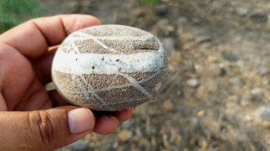Karmaşık doğal desenlere, çizgilere, noktalara ve belirgin jeolojik oluşumunu vurgulayan çarpıcı renklere sahip eşsiz şekilli bir taş.