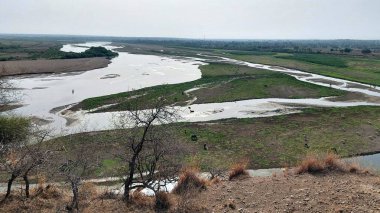 Punjab 'daki Sawan Nehri' nin güzel bir manzarası, etrafını çevreleyen tepeleri çevreleyen yemyeşil bitkiler ve çalılarla birden fazla kanaldan akan, huzurlu doğal bir manzara yaratıyor.