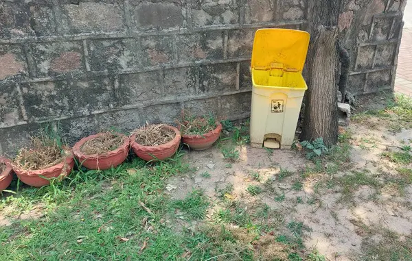 Kurumuş bitkiler içeren terakotta ya da kil saksıları çimenlerin üzerine konur ve bir tarafında sarı bir çöp kutusu görünür.