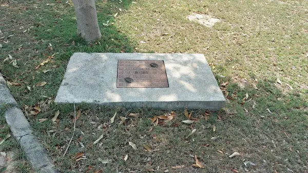 Beton, çimento, demir metal ve demir ağdan yapılmış rögar kapakları, farklı kullanım noktaları için eşsiz şekiller ve malzemeler sergiliyor