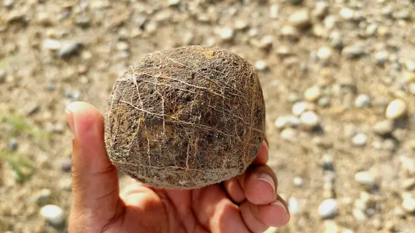 Karmaşık doğal desenlere, çizgilere, noktalara ve belirgin jeolojik oluşumunu vurgulayan çarpıcı renklere sahip eşsiz şekilli bir taş.