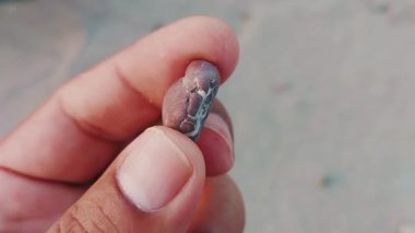 Karmaşık doğal desenlere, çizgilere, noktalara ve belirgin jeolojik oluşumunu vurgulayan çarpıcı renklere sahip eşsiz şekilli bir taş.