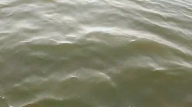 Koyu yeşil dalgalanan suyun hafif kahverengi kumla buluşup iki element arasında yumuşak, doğal bir sınır oluşturduğu sakin bir sahne.