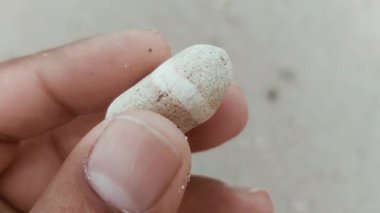 Karmaşık doğal desenlere, çizgilere, noktalara ve belirgin jeolojik oluşumunu vurgulayan çarpıcı renklere sahip eşsiz şekilli bir taş.