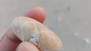 Karmaşık doğal desenlere, çizgilere, noktalara ve belirgin jeolojik oluşumunu vurgulayan çarpıcı renklere sahip eşsiz şekilli bir taş.