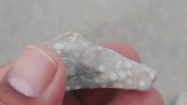 Karmaşık doğal desenlere, çizgilere, noktalara ve belirgin jeolojik oluşumunu vurgulayan çarpıcı renklere sahip eşsiz şekilli bir taş.