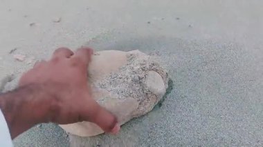 Karmaşık doğal desenlere, çizgilere, noktalara ve belirgin jeolojik oluşumunu vurgulayan çarpıcı renklere sahip eşsiz şekilli bir taş.
