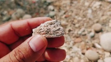 Karmaşık doğal desenlere, çizgilere, noktalara ve belirgin jeolojik oluşumunu vurgulayan çarpıcı renklere sahip eşsiz şekilli bir taş.