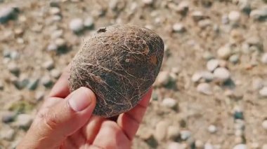 Karmaşık doğal desenlere, çizgilere, noktalara ve belirgin jeolojik oluşumunu vurgulayan çarpıcı renklere sahip eşsiz şekilli bir taş.