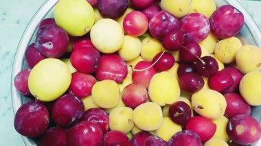 Kayısılar, limonlar, kirazlar ve alo bukhara (erikler) da dahil olmak üzere taze yaz meyvelerinin yakın görüntüsü, canlı renkler ve mevsimsel tazelik.