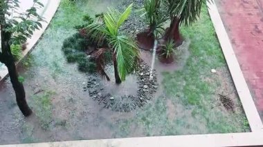 Şiddetli yağış sırasında, merkezi bir yatakta palmiye ağaçları, çalılar, yemyeşil çimenler ve dairesel taş desenler sergilenir. Hepsi de sağanak altında parlar. Yağmur yeşilliğin canlılığını arttırır ve dingin, doğal bir ortam yaratır.