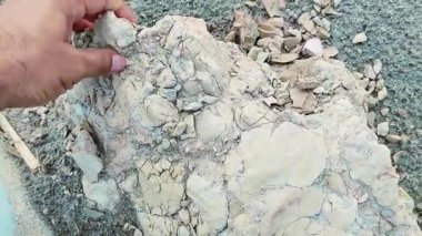 Kırık Kaya 'dan Küçük Taş Toplama ve İnceleme' nin yakın çekim videosu