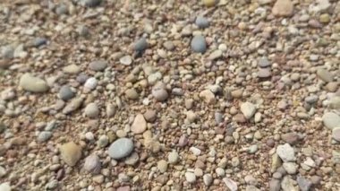 Büyük Beyaz Taş ve Parlak Gök Altındaki Uzak Ağaç Çizgisi ile Kuru Çakıl Nehrinin Panoramik Manzarası