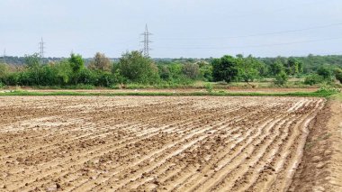 Taze Taze Taze Taze Tarım Alanı Okurlar ve Toprak Bölünmesi Bulutlu Kırsal Gökyüzü Altında