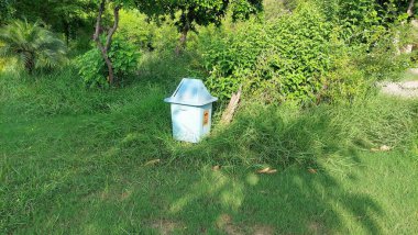 Yeşil Ağaçlar ve Doğal Çim Alanı ile Sunlit Park 'ta Açık Mavi Çöp Kutusu