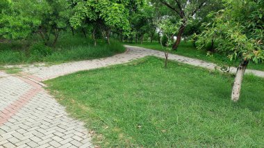 Yeşillik ve Ağaçlarla çevrili iki yöne ayrılan Manzaralı Park Yolu