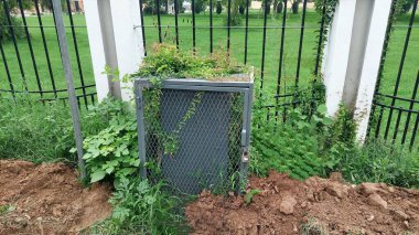 Aşırı gelişmiş metal malzeme kutusu asmalar ve bitki örtüsüyle doğa tarafından geri kazanıldı.