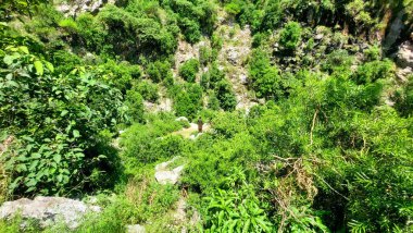 Engebeli Doğal Manzarada Yalnız Kişiyle Dik Lush Green Ravine Hava Manzarası