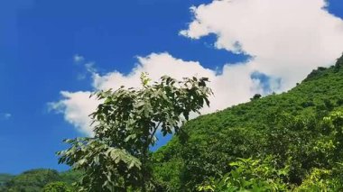 Lush Green Margalla Hills Mountain Range in Islamabad Pakistan Scenic Nature View