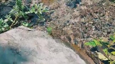 Exceptionally Close View Of Crystal Clear Fresh Water Spring Emerging From Rocks