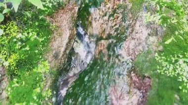 Serene crystal clear spring emerging from moss covered rock face with lush green foliage