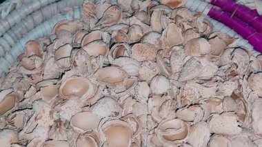 Hand Sifting Through Woven Tray Filled with Broken Almond Shells for Textured Food Photography and Rustic Home Decor