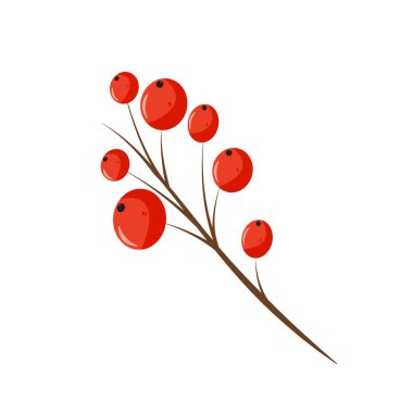 Sonbahar balkabağı hasadı. Organik doğal balkabağı koleksiyonu farklı tipler, formlar, renkler. Kart, kartpostal ve kapak için izole çizimler. EPS 10