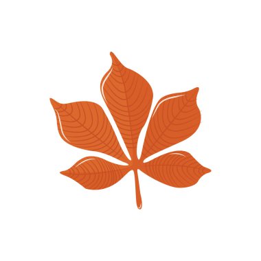 Sonbahar balkabağı hasadı. Organik doğal balkabağı koleksiyonu farklı tipler, formlar, renkler. Kart, kartpostal ve kapak için izole çizimler. EPS 10