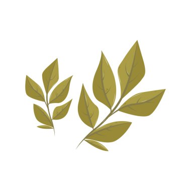 Sonbahar balkabağı hasadı. Organik doğal balkabağı koleksiyonu farklı tipler, formlar, renkler. Kart, kartpostal ve kapak için izole çizimler. EPS 10