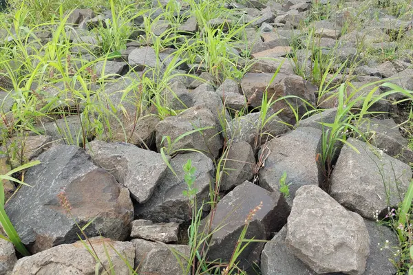 stock image Riverbank basecourse rock made of siltstone and cobblestone, mixed with split grey limestone mainly used to build dam, building or house base foundation, sloof, boulder and road surface.