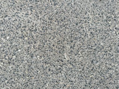 Terrazzo desenli levha taşına gömülü doğal küçük gri mercan taşı. Çakıl taşları ya da terrazzo. Doğal gri, dikişsiz doku.. 