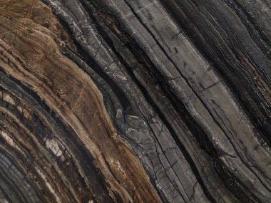 Kara Orman İtalyan mermer dokusu farklı taneler, desenler ve damarlarla. Bu tip mermerler savurgan görünüşüyle ünlüdür ve tahılların siyah gölgeleri bu zarafeti verir..