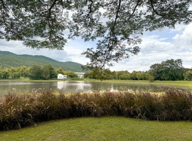 Beautiful serene lake with fountain grass, green lawn, rain trees under a sunny sky, with highland mountain at the background. European and American feel . Lake house by the lake. clipart