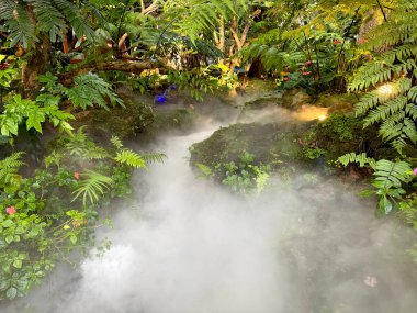 Stream river of water with fog, mist, and dry ice on the river, with anthurium flower, green bushes, trees and  rocks along the river banks clipart