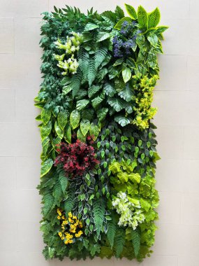 Close up of sustainable greeneries or vertical garden on a wall. With some colorful daisy flowers and various colored ivy leaves combined and stacked. Vertical wall green design. clipart